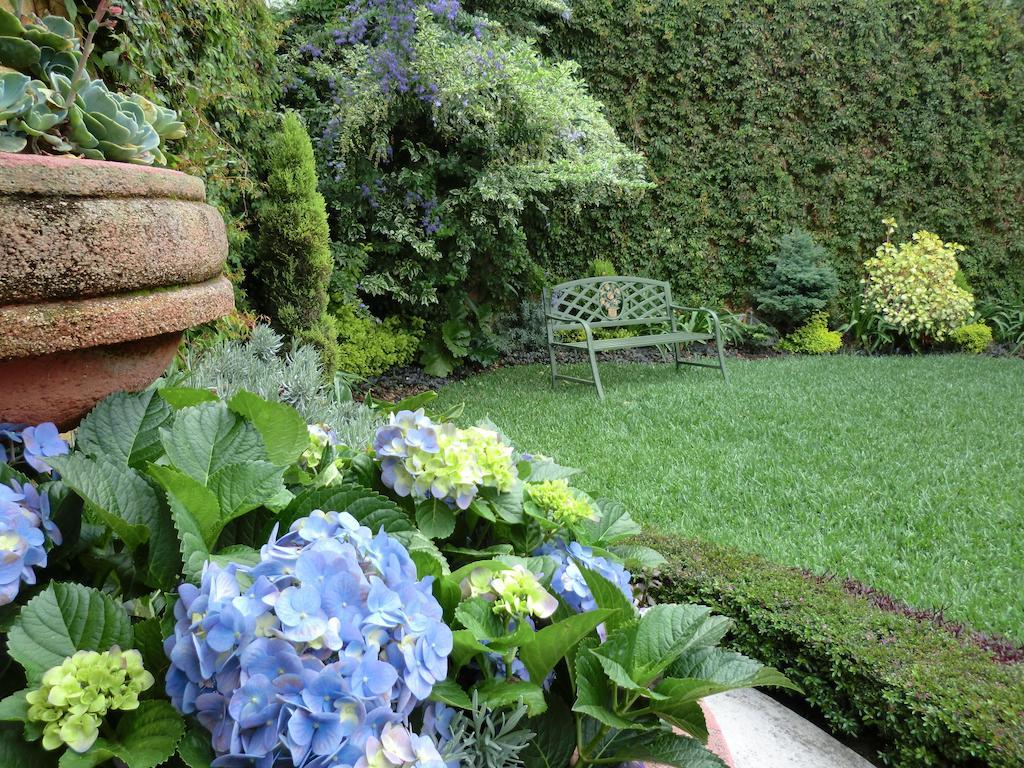 Hostal Villa Toscana Guatemala City Exterior photo
